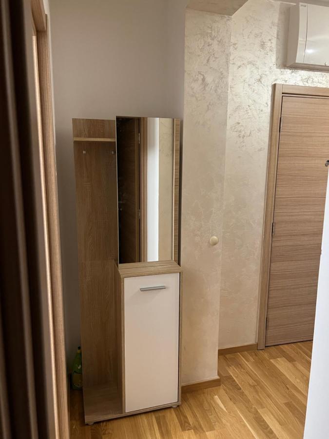 Apartman Didi-Free Parking ノヴィ・サド エクステリア 写真